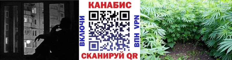 Каннабис сатива  Купить  Азнакаево 